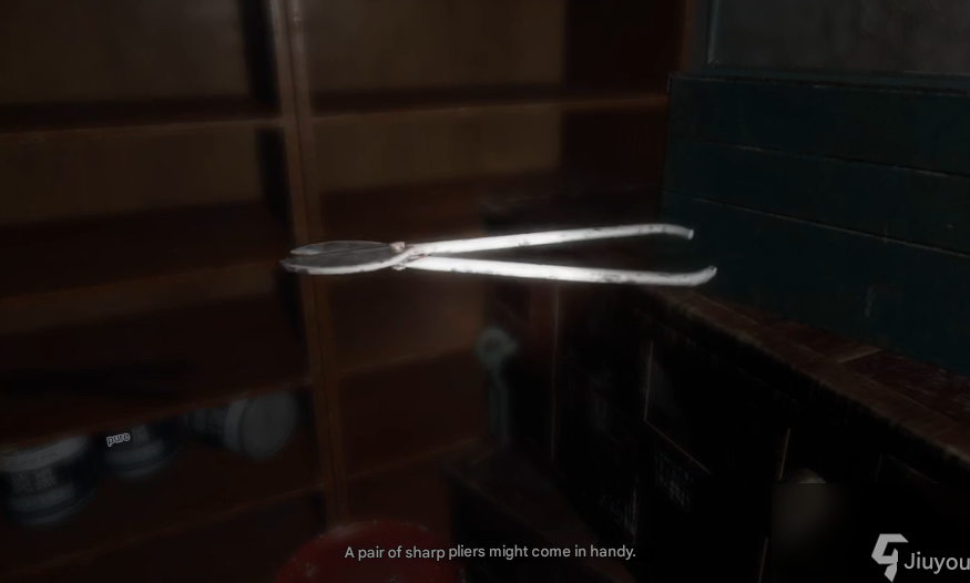 An example of a collectible item used as both an interaction tool and a narrative clue