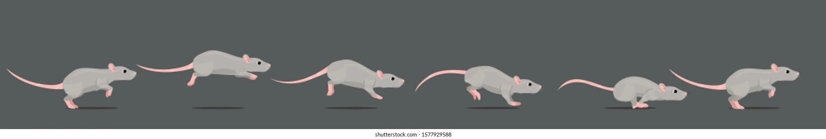 Rat Running Animation – Hugo Mazariegos (Year 2 Archive)