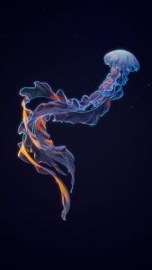 4e2d40b944b943332e12acf0eb205e55